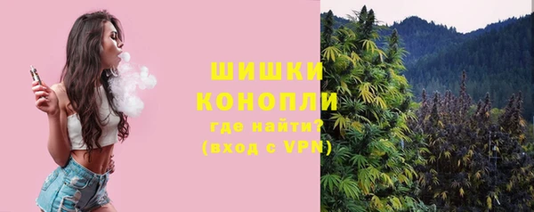 MESCALINE Елизово