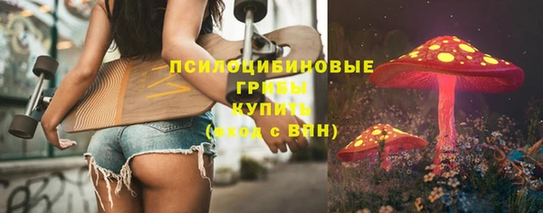 бутират Елабуга