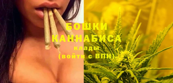 MESCALINE Елизово